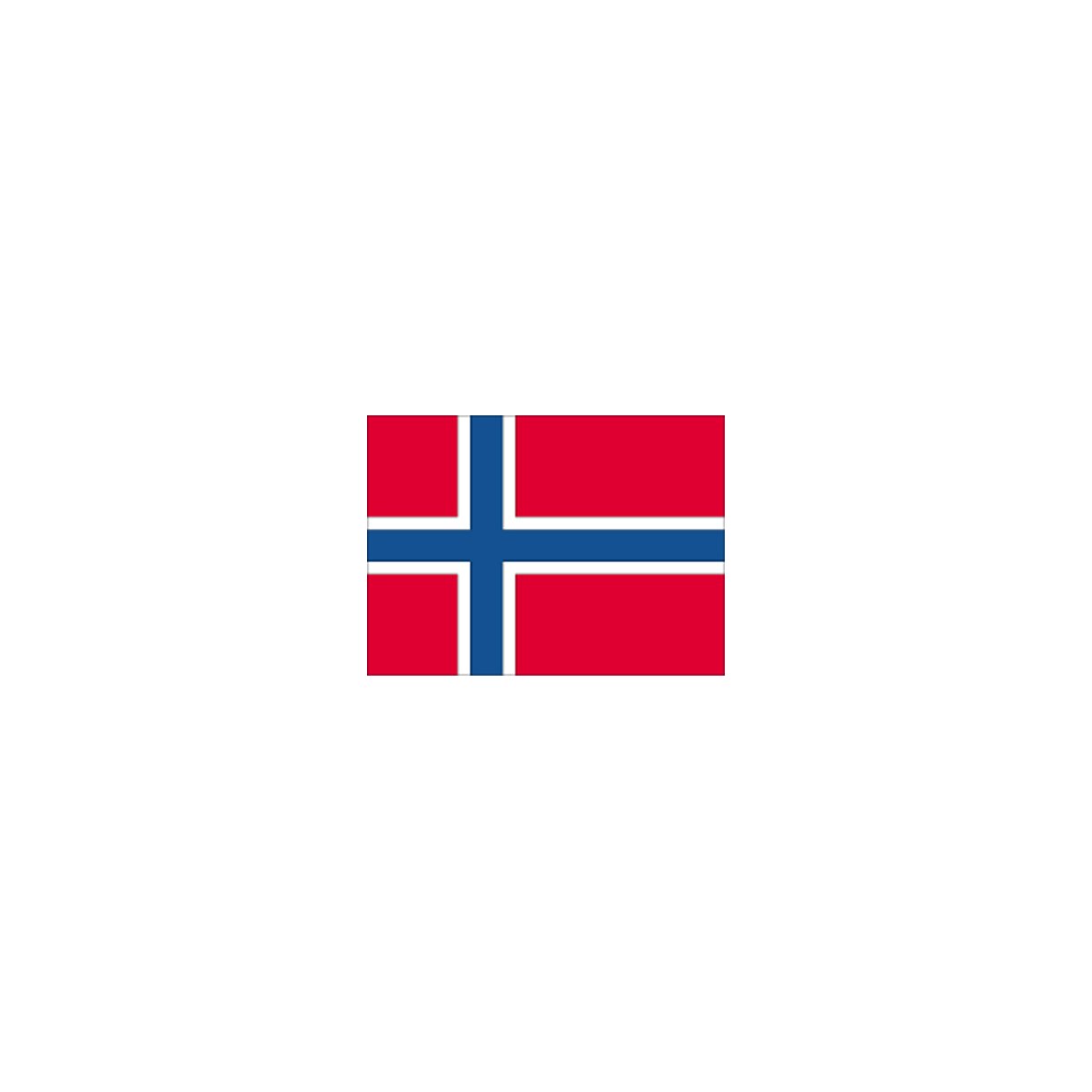 Gæsteflag Norge trykt 30x45cm